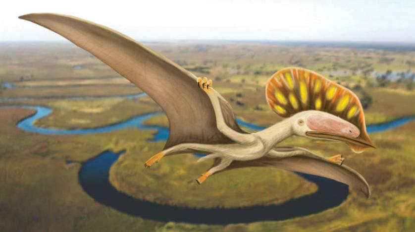 طائر مجنح - ديناصور